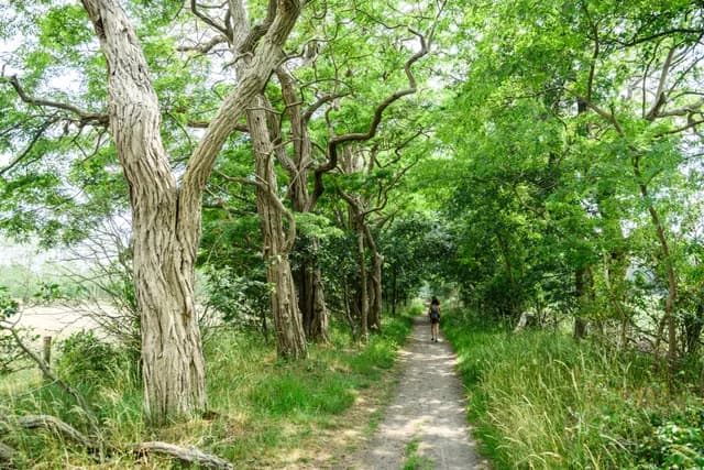 De Moer natuur Jostijn Ligtvoet 2