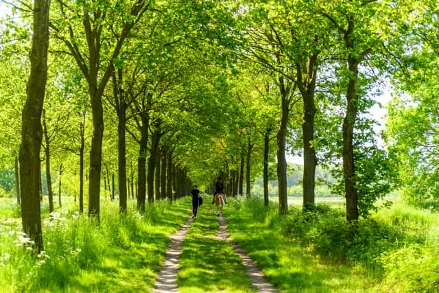 Noorderbos natuur Jostijn Ligtvoet 5