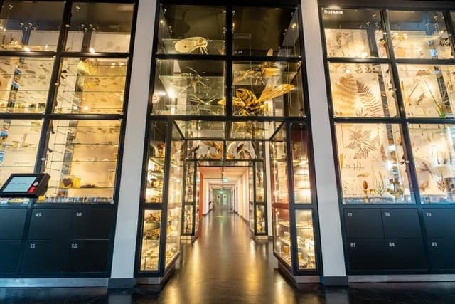 Natuurmuseum Brabant OO-zone 2