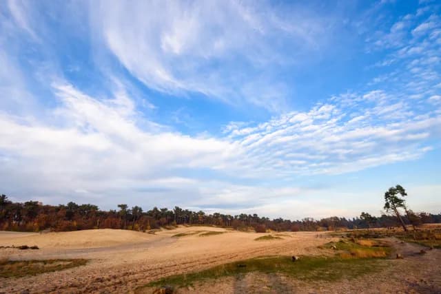 Loonse en Drunense Duinen natuur Jostijn Ligtvoet 2
