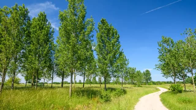 Stadsbos013 natuur Jostijn Ligtvoet 3