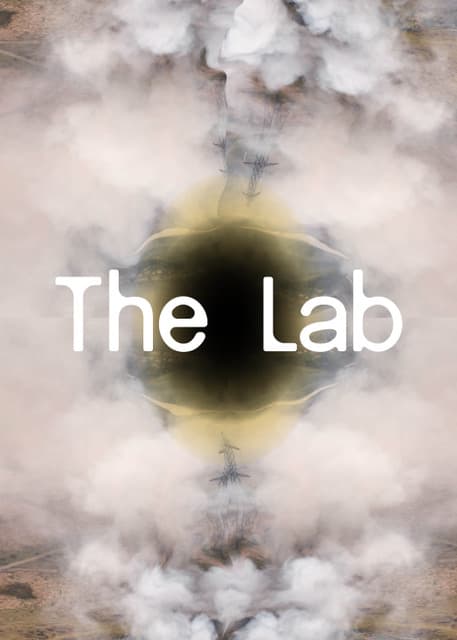 ONLINE The Lab6