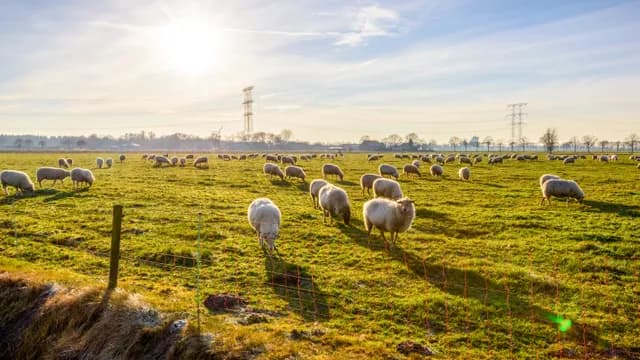 De Moer natuur Jostijn Ligtvoet 3